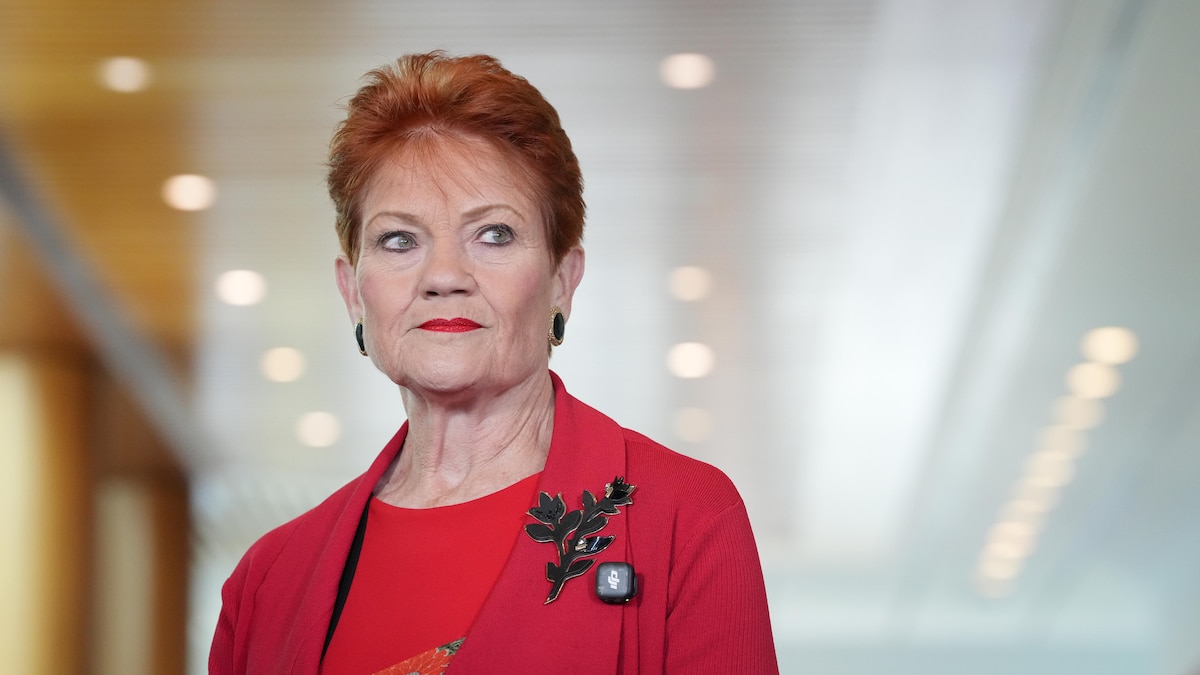 Pauline Hanson to change One Nation cartoon mocking vaginal prolapse