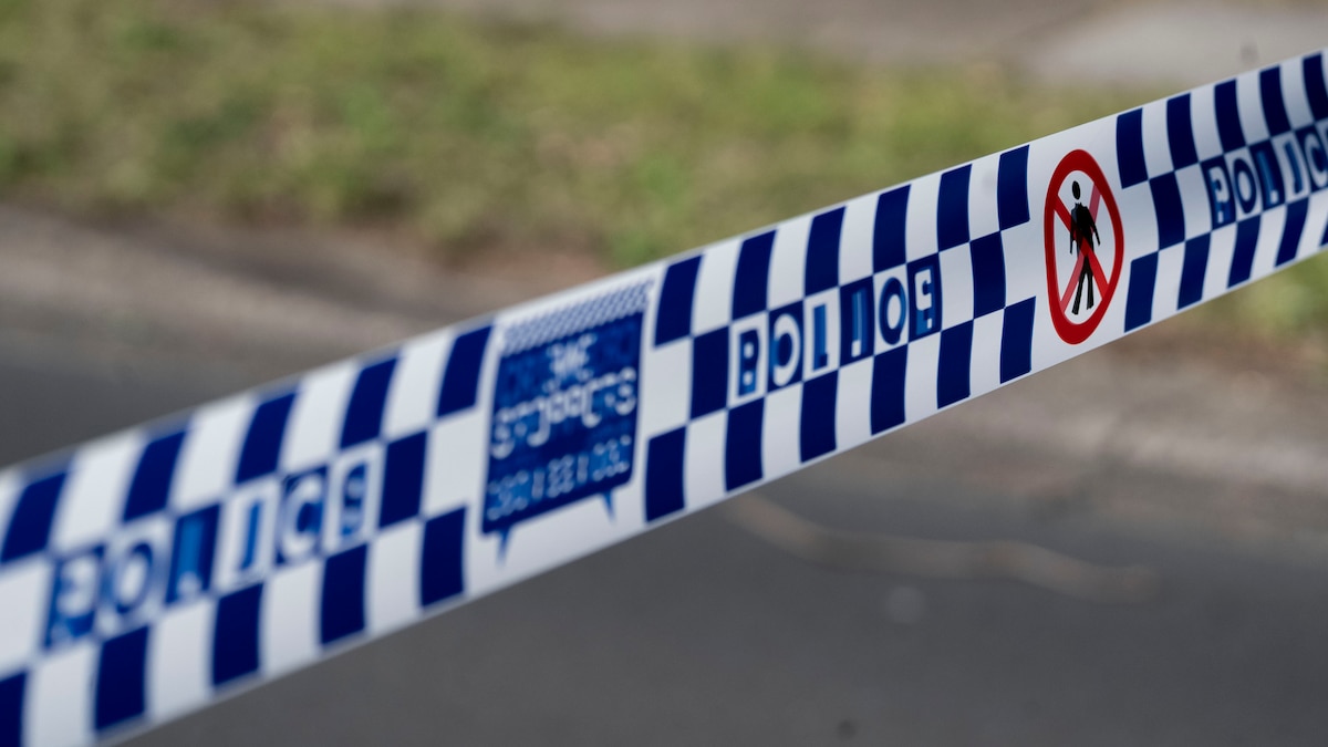 Woman who killed her two sons in the Blue Mountains found not criminally responsible