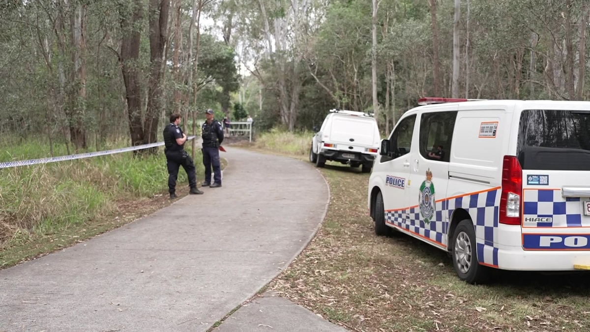 Owner of dogs that left man seriously injured to face harsher penalties under state law